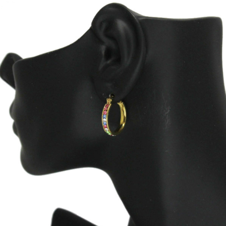 MultiColor Round Hoop Earrings